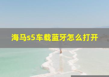 海马s5车载蓝牙怎么打开