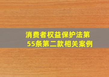 消费者权益保护法第55条第二款相关案例