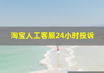 淘宝人工客服24小时投诉