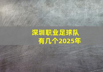 深圳职业足球队有几个2025年