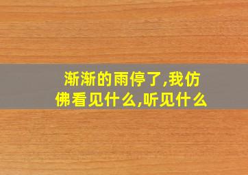 渐渐的雨停了,我仿佛看见什么,听见什么