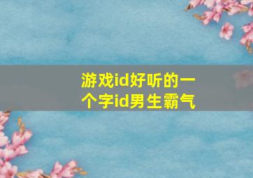 游戏id好听的一个字id男生霸气