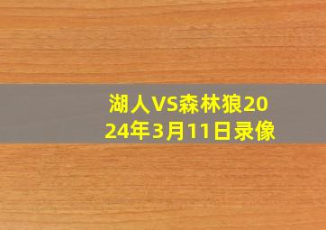 湖人VS森林狼2024年3月11日录像