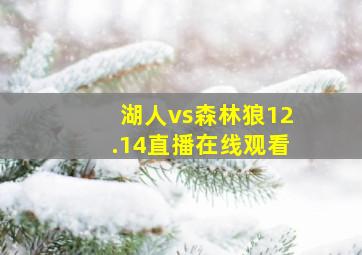 湖人vs森林狼12.14直播在线观看