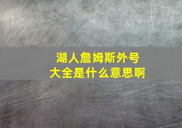 湖人詹姆斯外号大全是什么意思啊