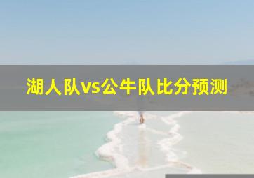 湖人队vs公牛队比分预测