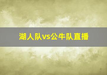 湖人队vs公牛队直播