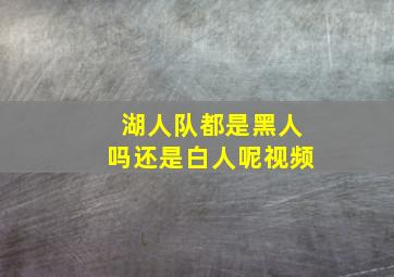 湖人队都是黑人吗还是白人呢视频