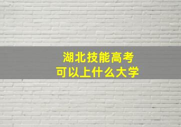 湖北技能高考可以上什么大学