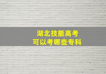 湖北技能高考可以考哪些专科