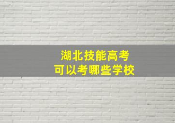 湖北技能高考可以考哪些学校