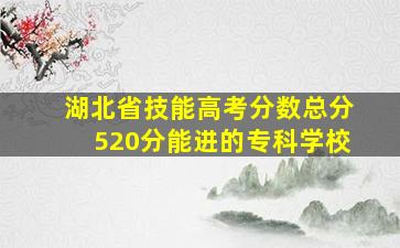 湖北省技能高考分数总分520分能进的专科学校