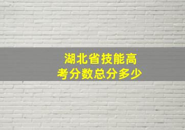 湖北省技能高考分数总分多少