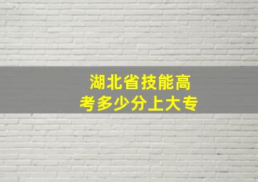 湖北省技能高考多少分上大专