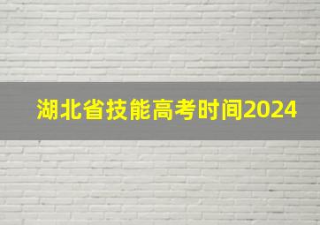 湖北省技能高考时间2024