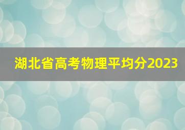 湖北省高考物理平均分2023