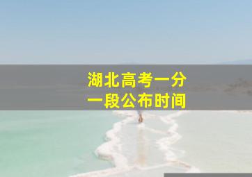 湖北高考一分一段公布时间