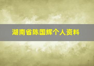 湖南省陈国辉个人资料