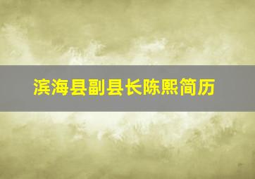 滨海县副县长陈熙简历