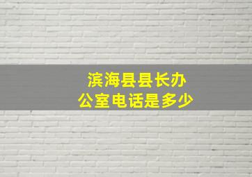 滨海县县长办公室电话是多少