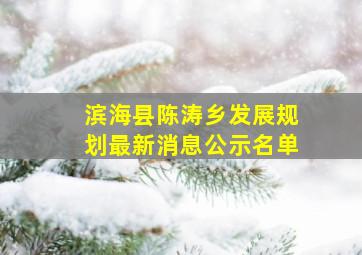 滨海县陈涛乡发展规划最新消息公示名单