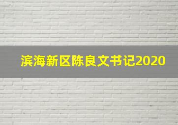 滨海新区陈良文书记2020