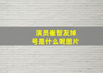 演员崔智友绰号是什么呢图片