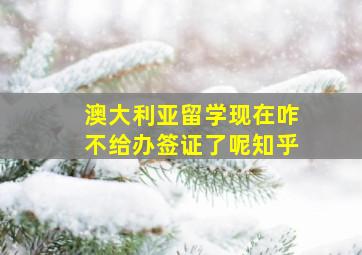 澳大利亚留学现在咋不给办签证了呢知乎