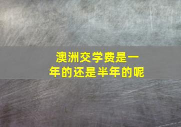 澳洲交学费是一年的还是半年的呢