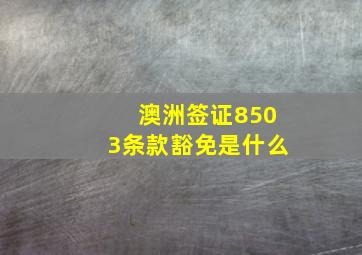 澳洲签证8503条款豁免是什么