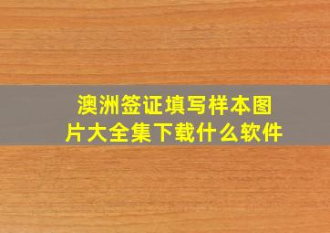 澳洲签证填写样本图片大全集下载什么软件