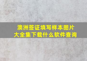 澳洲签证填写样本图片大全集下载什么软件查询