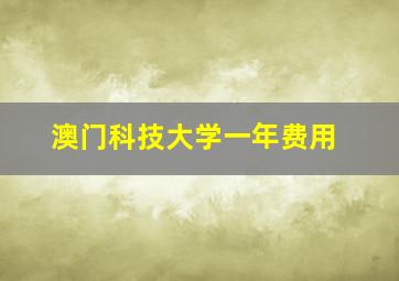 澳门科技大学一年费用