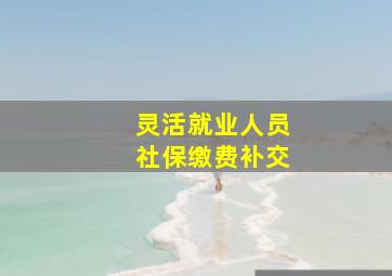 灵活就业人员社保缴费补交