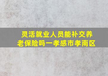 灵活就业人员能补交养老保险吗一孝感市孝南区