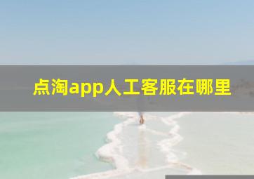 点淘app人工客服在哪里