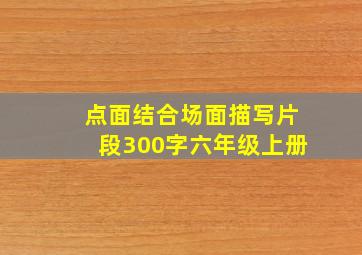 点面结合场面描写片段300字六年级上册