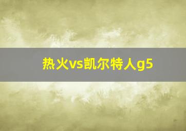 热火vs凯尔特人g5