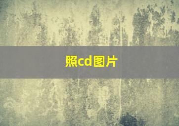 照cd图片