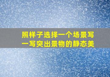 照样子选择一个场景写一写突出景物的静态美