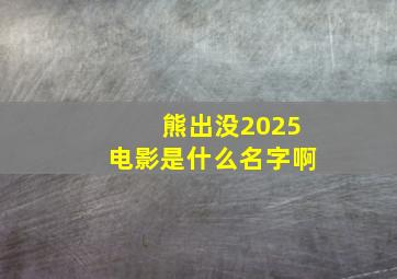 熊出没2025电影是什么名字啊