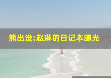 熊出没:赵琳的日记本曝光