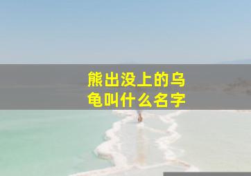 熊出没上的乌龟叫什么名字