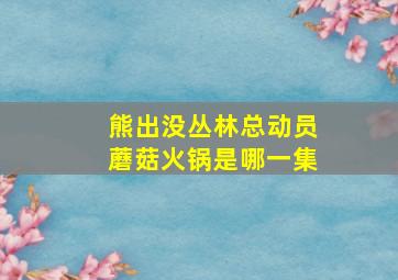 熊出没丛林总动员蘑菇火锅是哪一集