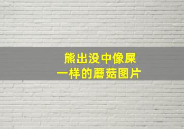 熊出没中像屎一样的蘑菇图片