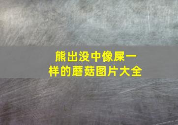 熊出没中像屎一样的蘑菇图片大全