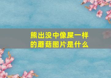 熊出没中像屎一样的蘑菇图片是什么