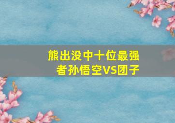 熊出没中十位最强者孙悟空VS团子