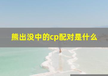 熊出没中的cp配对是什么