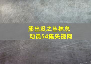 熊出没之丛林总动员54集央视网